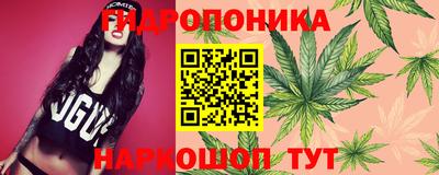 сатива Белореченск