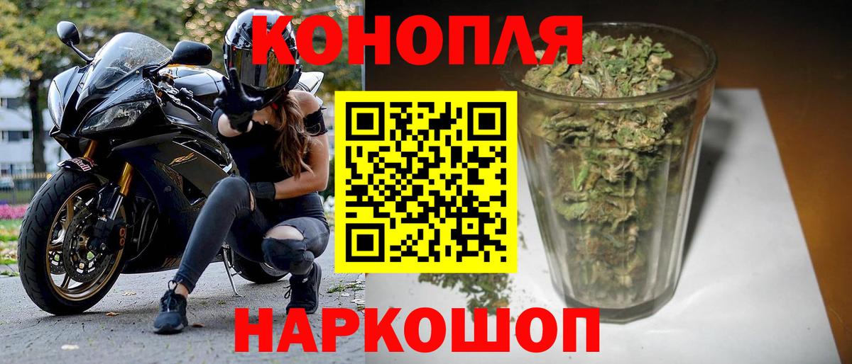 Марихуана OG Kush Белгород
